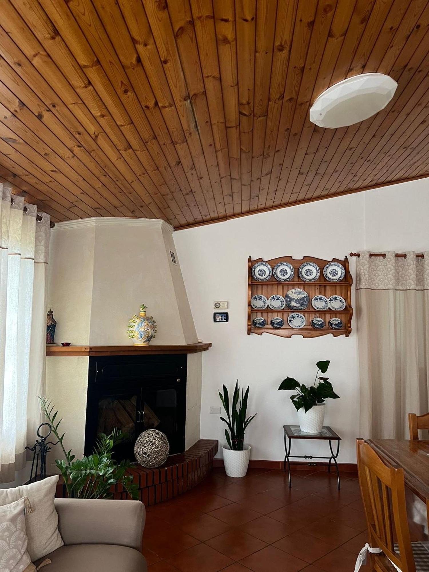 Вилла Cycas Cellole Экстерьер фото